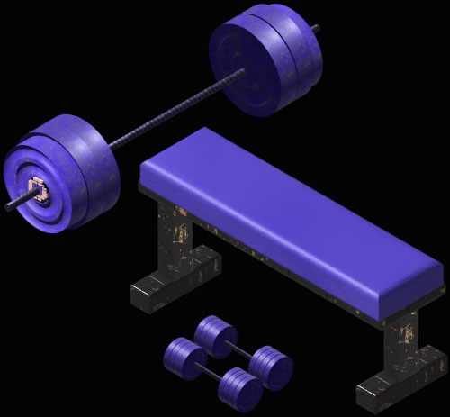 A barbell, bench and dumbbells representing pectus exercises