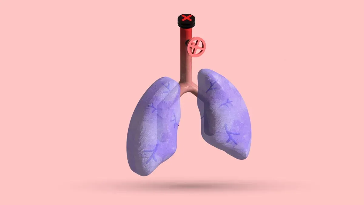 A 3D pair of lungs with the windpipe capped by a red cross