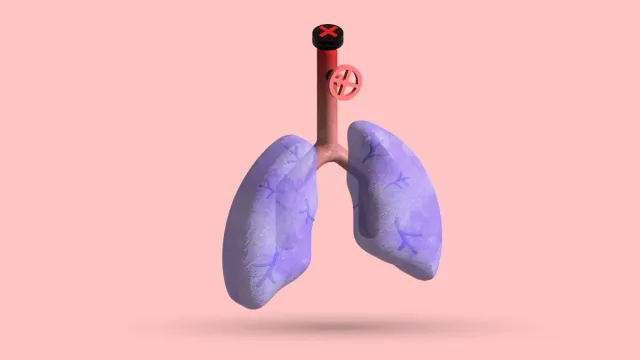 A 3D pair of lungs with the windpipe capped by a red cross