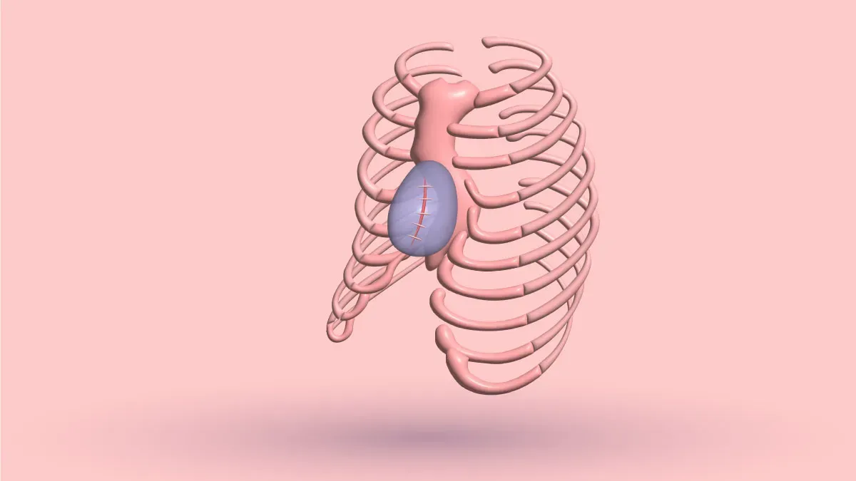 Anatomik Modeling Surgery, A-Z Review: Risks & More