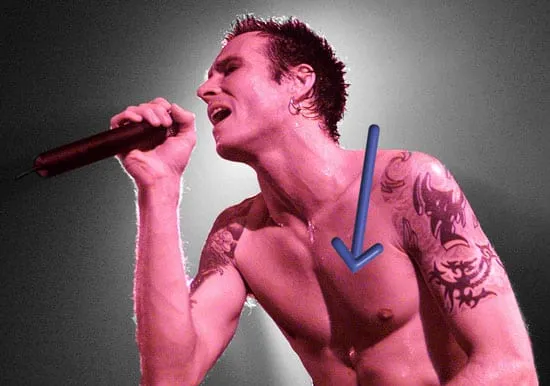 Scott weiland pectus singer