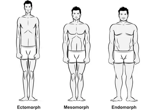 Body types