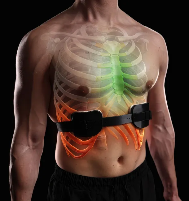 Front view diagram showing the sternum lifting as the brace corrects the flared lower ribs