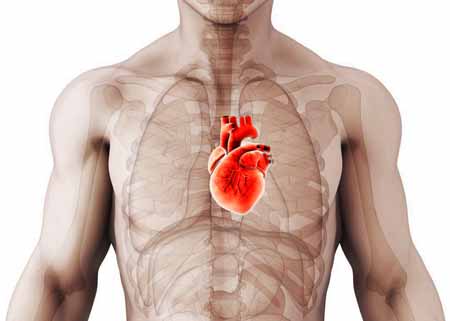 concave chest blood pump problem