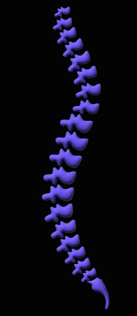 Pectus-Posture-Improvement